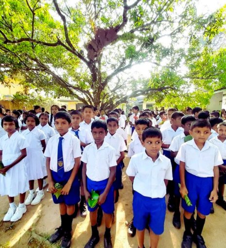 A large group of school children, both boys and girls, are standing outdoors under a large tree. 